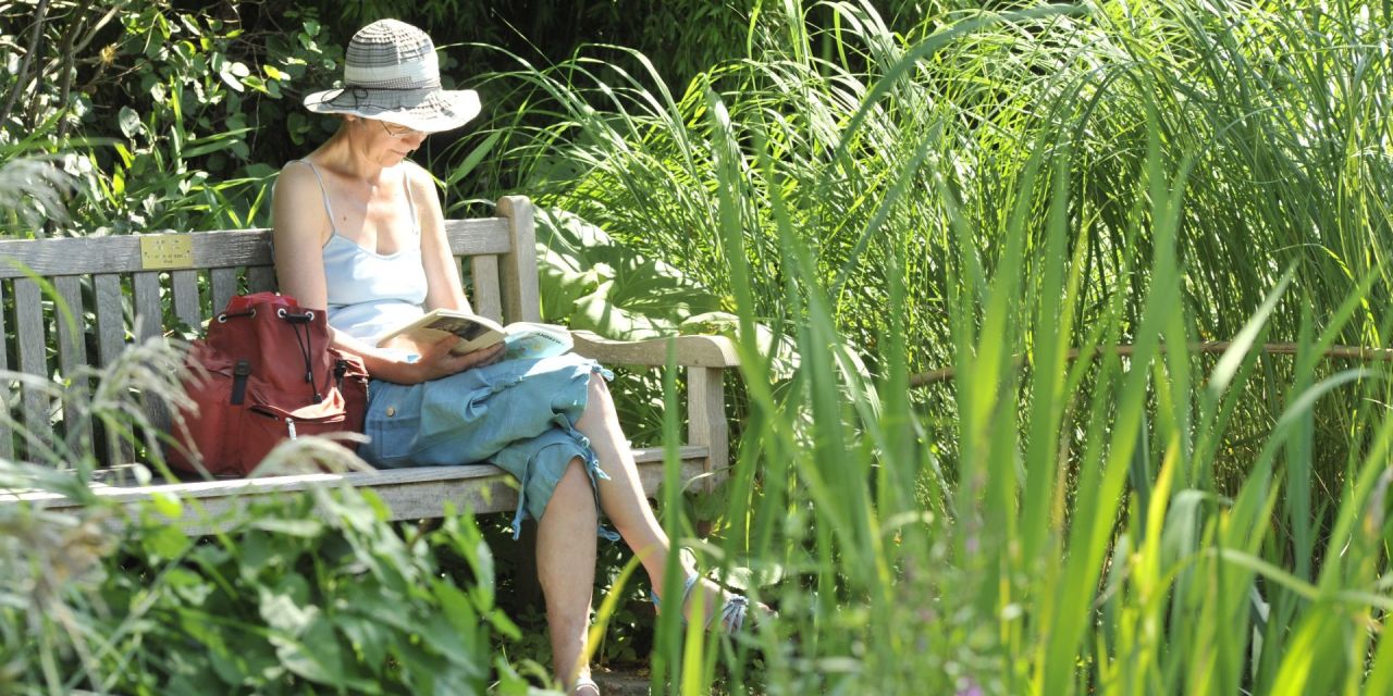 Een vrouw leest een tijdschrift tussen het groen op een tuinbank, warme zomerdag in Arboretum Kalmthout.