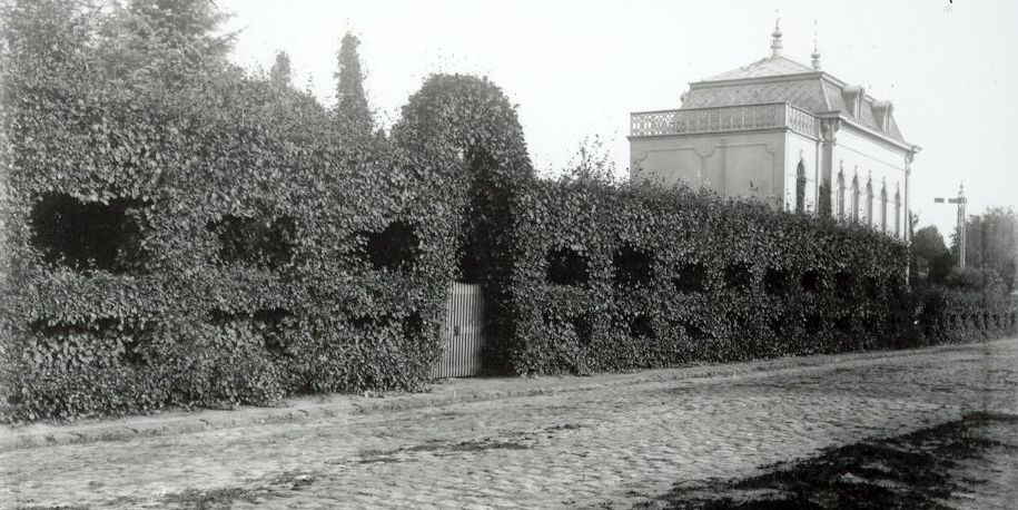 Oude zwart-wit foto, glasnegatief, van kwekerij Van Geert, het hudigie Arboretum Kalmthout. Zicht op de kaseienweg langs een doorkijkhaag en het oude Vangeertenhof.