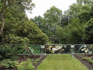 Vanop een graspad in Arboretum Kalmthout, zicht op een hoogteconstructie langs een boom, op de voorgrond is het graspad afgezet met nadarhekken waarop spandoeken hangen met foto's van witte bloemen.