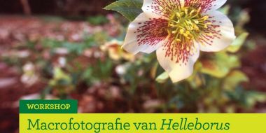 Hoe inschrijven en betalen?