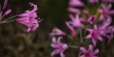 Openingstijden en toegangsprijzen