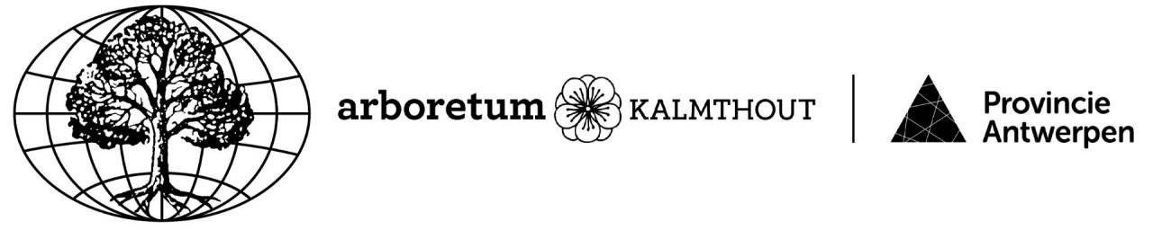 Logo International Dendrology Society IDS and Arboretum Kalmthout Provincie Antwerpen