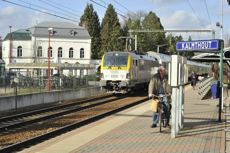 Zicht op Arboretum Kalmthout vanuit het treinstation van Kalmthout.