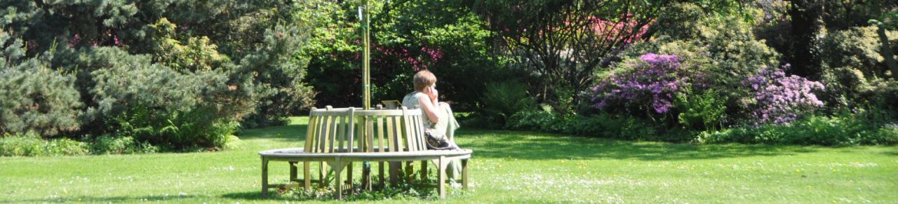Arboretum Kalmthout op een zonnige lentedag. Een vrouw zit op een ronde bank middenin het grasveld, met haar rug naar de camera toe.