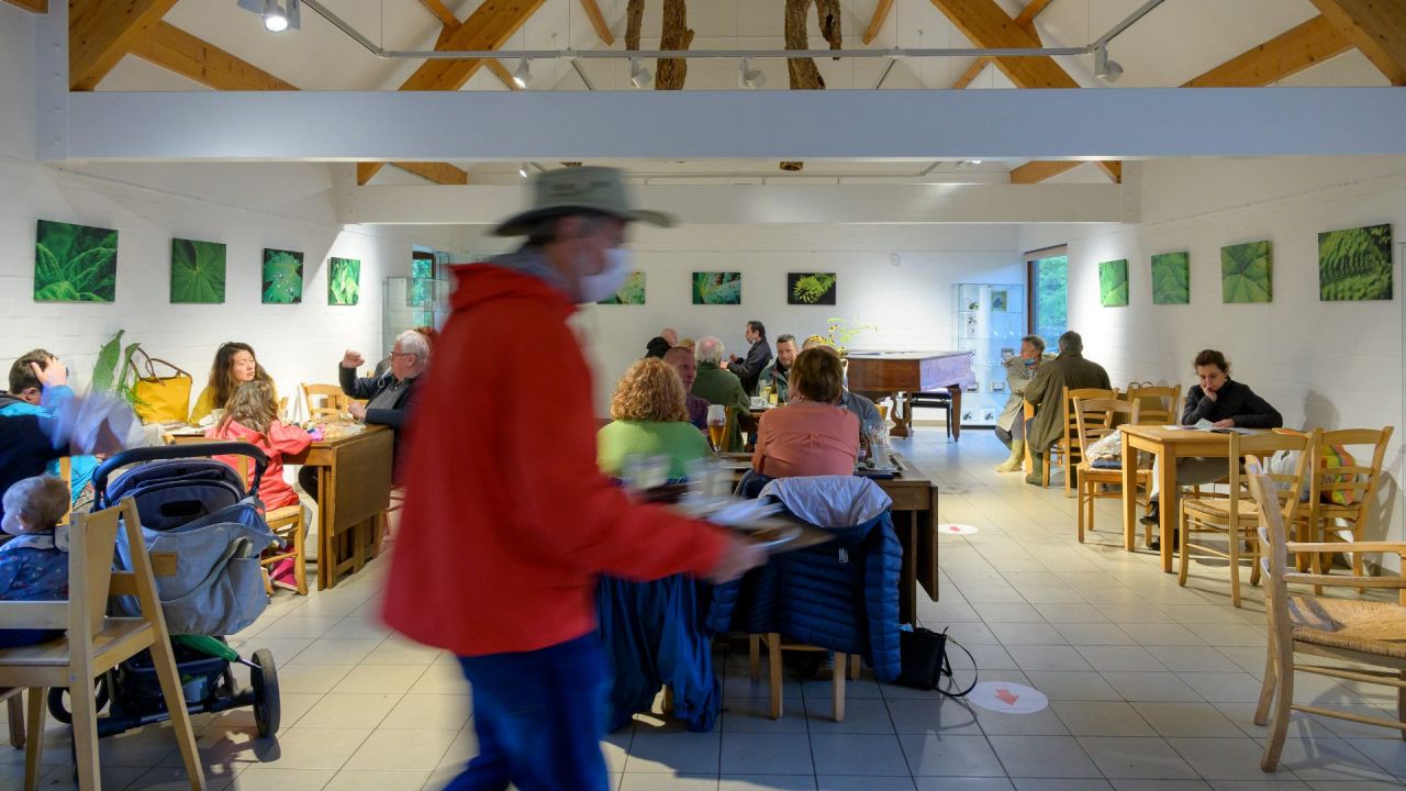 Twee mannen en een vrouw zitten aan een tafel in de cafetaria van Arboretum Kalmthout en genieten van een hapje en een drankje.