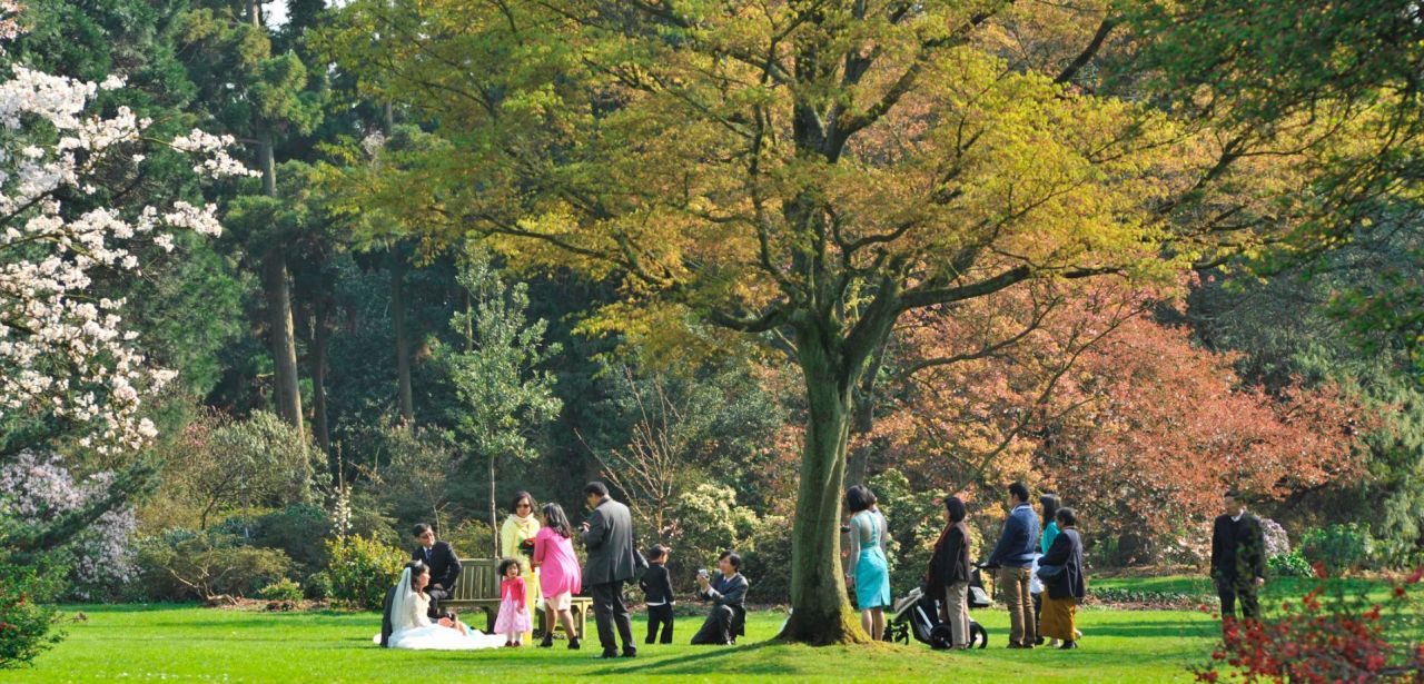 Groepsfoto van een bruidspaar met familie in Arboretum Kalmthout. Zicht op de tuin in lentekleuren. De groep staat in de verte op het grasveld onder een boom.