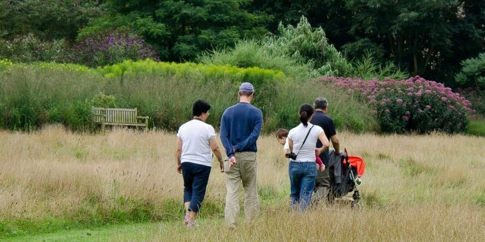 Bezoekers maken een familieuitstap naar Arboretum Kalmthout, ze wandelen door hoge graspaden en zomerse bloemenborders, een vrouw draagt een kind, een man duwt een kinderwagen.