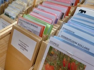 Tomatenzaden in bruine envelopjes, alfabetisch gesorteerd in houten bakjes, shop Arboretum Kalmthout.