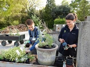 Twee jonge medewerkers, stagiair-tuiniers in Arboretum Kalmthout, verpotten enkele plantjes in een grote terracotta bloempot, zonnige lentedag.