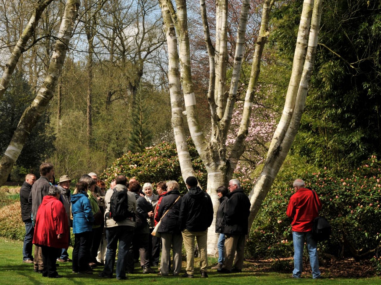 Op het vlonderpad in de arboretumtuin staat een groep bezoekers bij de gids. Het is een frisse voorjaarsdag, Rond het vlonderpad ligt een tapijt van droge bladeren.