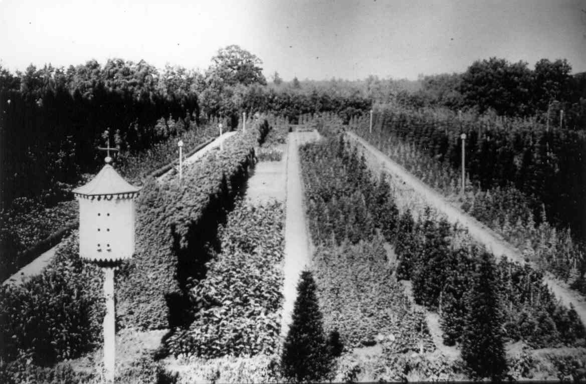 Zicht op kwekerij vanuit Vangeertenhof in Arboretum Kalmthout, oude zwartwitfoto met zicht op de plantbedden vol jong plantgoed in de oude kwekerij, op de voorgrond een paal met vogelhuis.