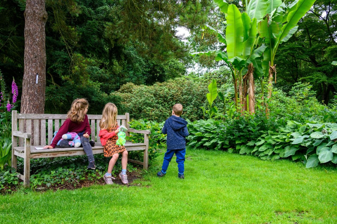 Zomerspeurtocht_tuinbank_ K_2021-07-01_ML-2681.jpg