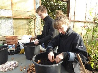 fondsenverslag stagiaires