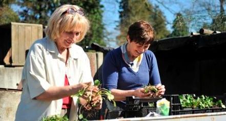 Vrijwilligsters Beatrice en Gerda verpotten planten staande aan de plantentafel. Ze glimlachen. Het is een zonnige dag.