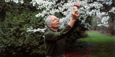 Jelena De Belder in 1992 bij een bloeiende kerselaar in Arboretum Kalmthout. Oudere dame met grijs haar en bril reikt naar een takje.