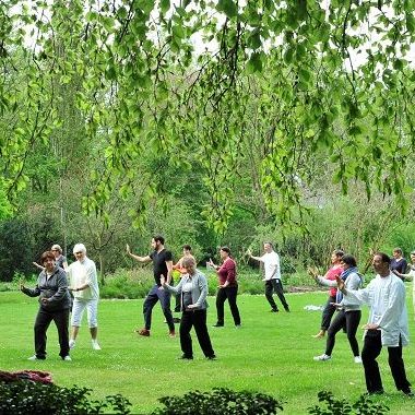 Groep deelnemers aan de cursus tai chi op het grote gazon tussen de groene borders van Arboretum Kalmthout