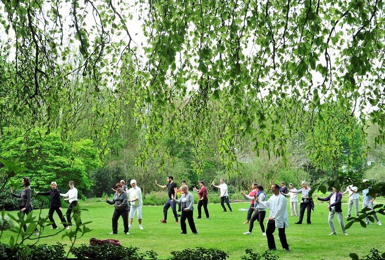 Groep deelnemers aan de cursus tai chi op het grote gazon tussen de groene borders van Arboretum Kalmthout