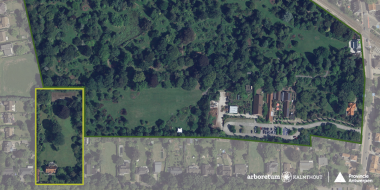 Luchtfoto van groendomein Arboretum Kalmthout met een aanpalend stuk tuin van 1 hectare aangeduid door een gele kader.