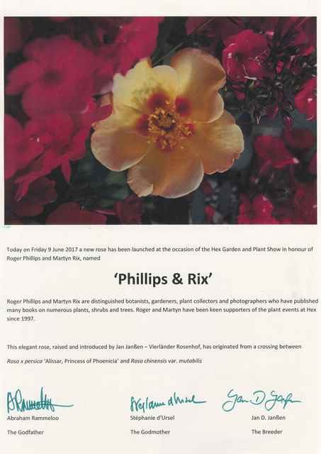 Engelstalig doopcertificaat van de Rosa 'Phillips & Rix', met de namen van de peter, meter en kweker van de roos.