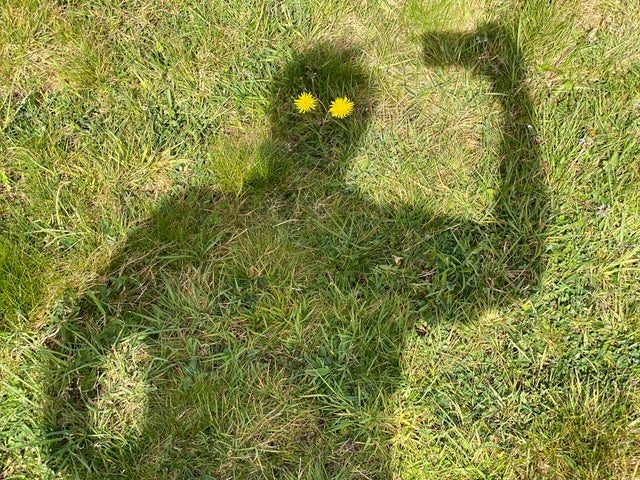 Schaduwbeeld van een man waarvan de ogen paardenbloemen zijn