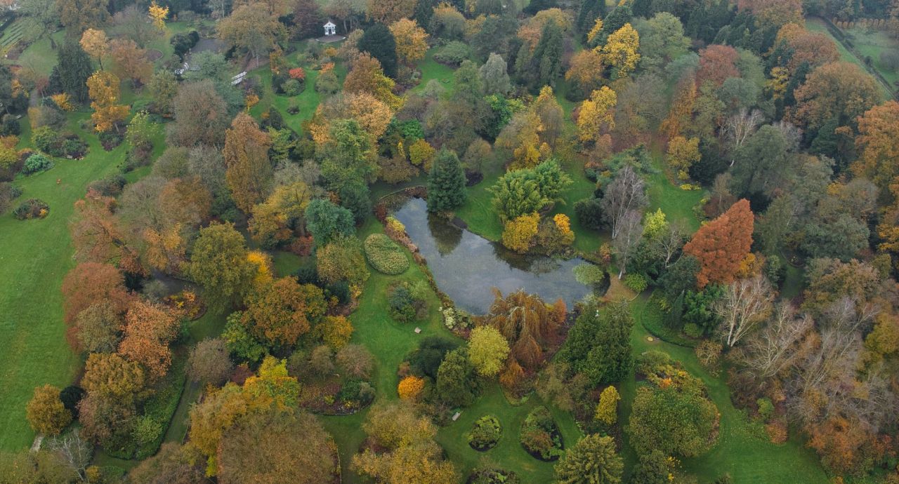 luchtbeeld van Arboretum Kalmthout in de herfst, met grote vijver