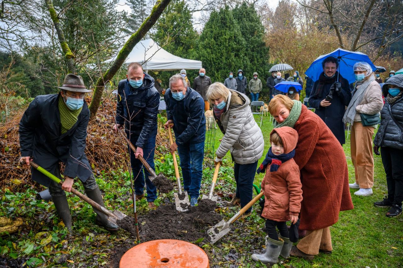 vijf mensen planten een boom in Arboretum Kalmthout
