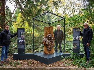 Een stuk boomstam met een grote knobbel staat onder een afdakje en op een verhoogd platform in de borders van Arboretum Kalmthout, twee infopanelen staan aan weerszijden van het monument. Drie mannen poseren bij het knobbelstammonument: links de directeur van het arboretum, in het midden de ontwerper van het monument en rechts de voorzitter van Arboretum Kalmthout, tevens gedeputeerde van de provincie Antwerpen.