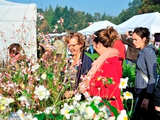 Enkele bezoekers aan een zonnige plantendag najaar in Arboretum Kalmthout, tussen de kraampjes en de bloemen van de verkoopstanden op een grote weide.