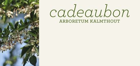 Drukwerk voor de cadeaubon van Arboretum Kalmthout, links een foto van bloeiende takken van de Styrax japonica, met klokjesvormige bloemen.