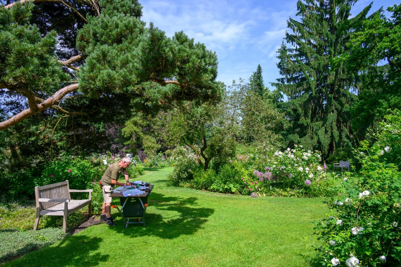 Eddy Avanture aan het werk in de rozentuin van Arboretum Kalmthout