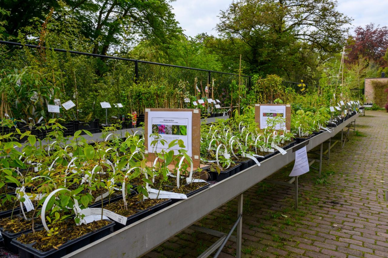plantencentrum Arboretum Kalmthout met assortiment trays