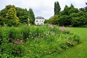 Zicht op de kleurrijke Oudolf Borders en op de achtergrond een wit historische gebouw met zicht op een groot grasveld en omliggende borders met bomen, zomer in Arboretum Kalmthout.