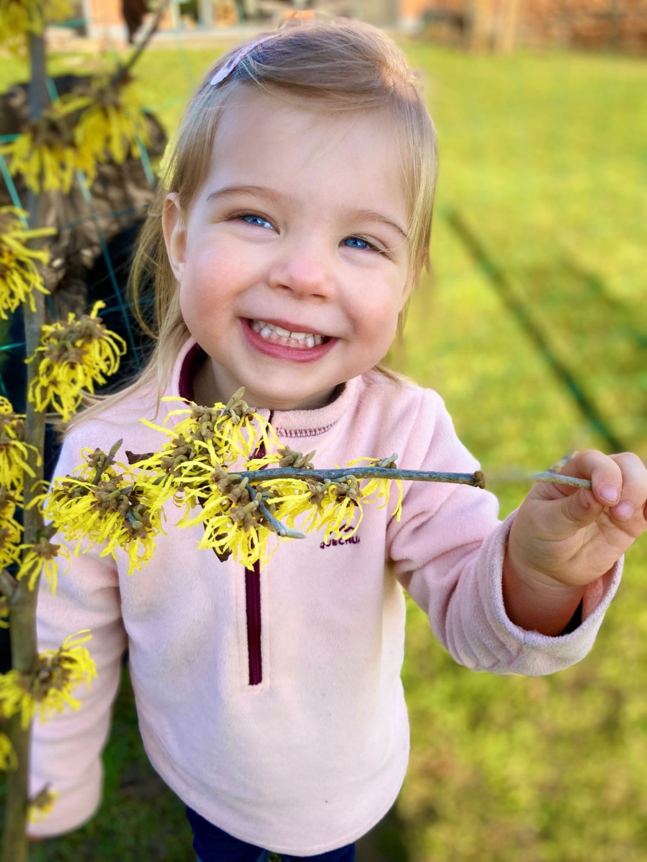 Meisje houdt tak van toverhazelaar vast 