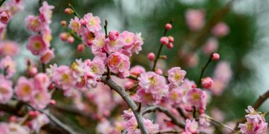 Öffnungszeiten & Eintrittspreise